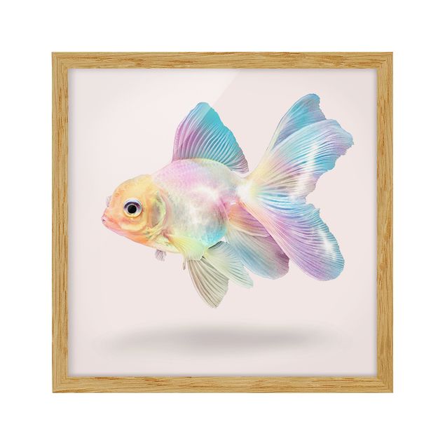 Tavlor med ram djur Fish In Pastel
