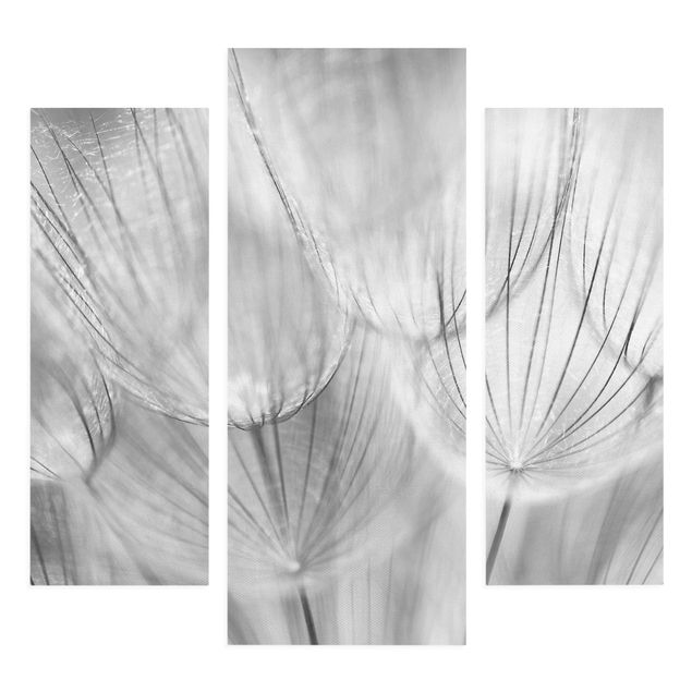 Canvastavlor svart och vitt Dandelions Macro Shot In Black And White