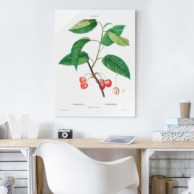 Tavlor frukter Botany Vintage Illustration Red Cherries