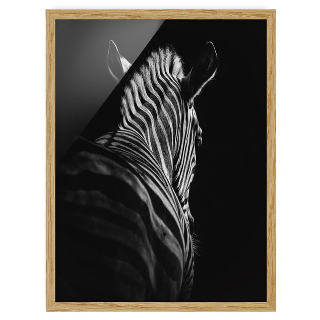 Tavlor med ram djur Dark Zebra Silhouette