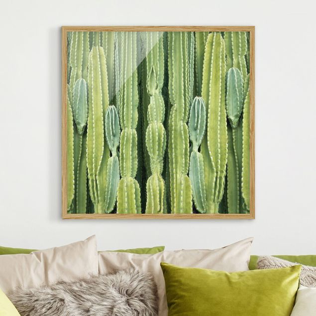 Tavlor med ram blommor  Cactus Wall