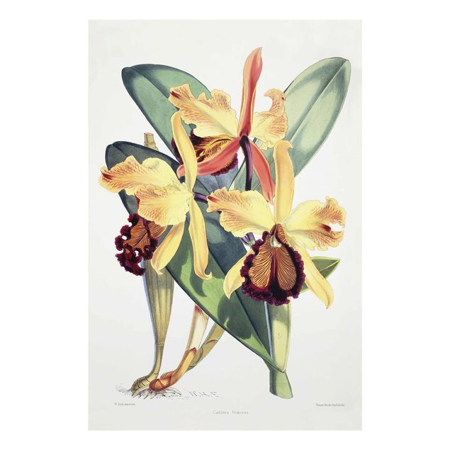 Konststilar Walter Hood Fitch - Orchid