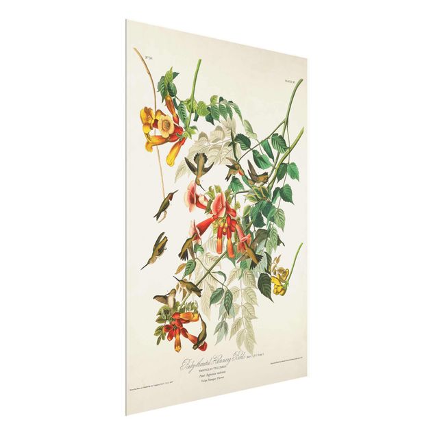 Tavlor blommor  Vintage Board Hummingbirds