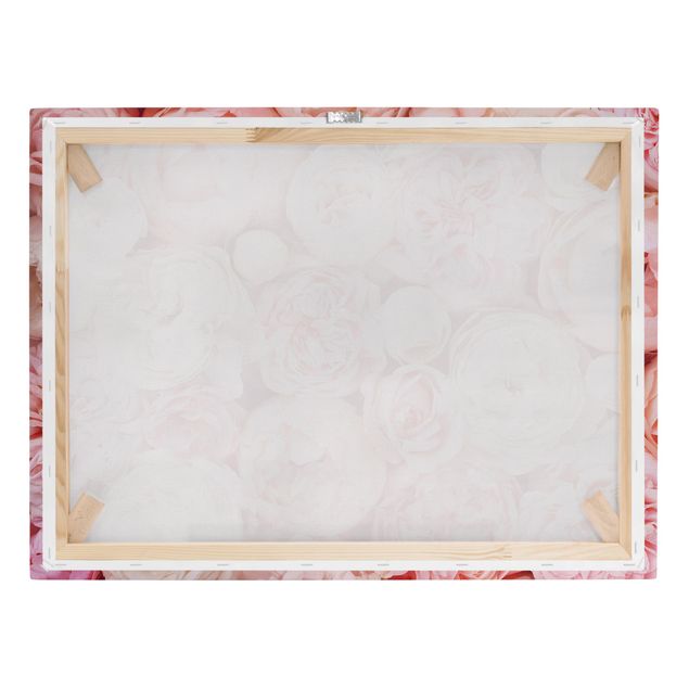 Canvastavlor Roses Rosé Coral Shabby
