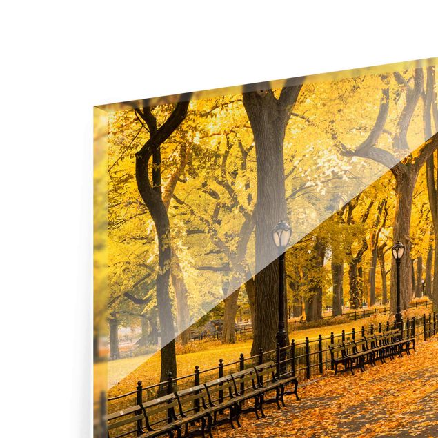 Tavlor orange Autumn In Central Park