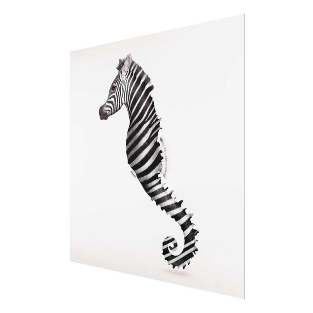 Glastavlor svart och vitt Seahorse With Zebra Stripes