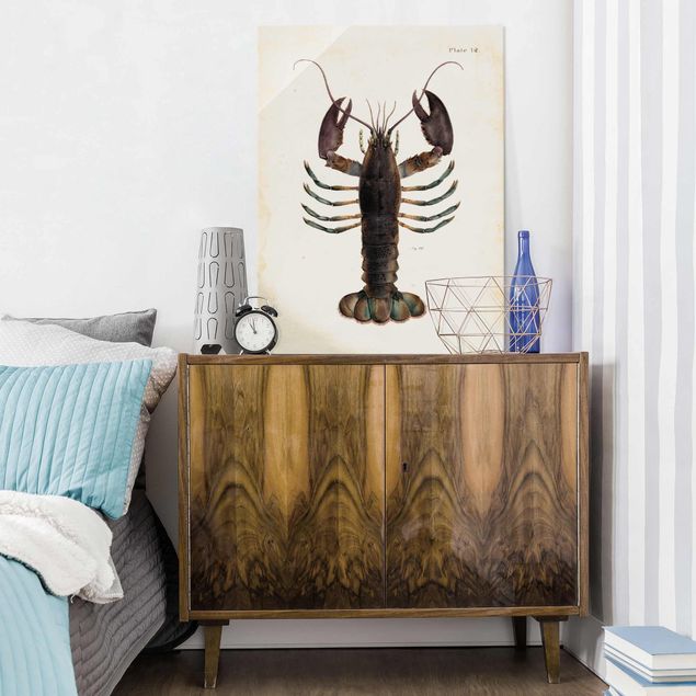Glastavlor djur Vintage Illustration Lobster