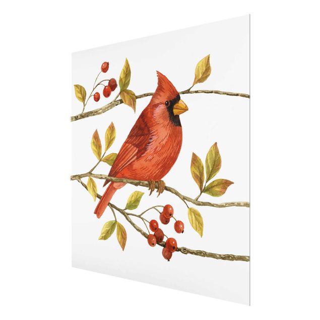 Glas Magnettavla Birds And Berries - Northern Cardinal