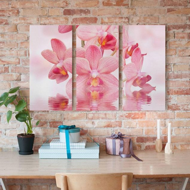 Canvastavlor orkidéer Light Pink Orchid On Water