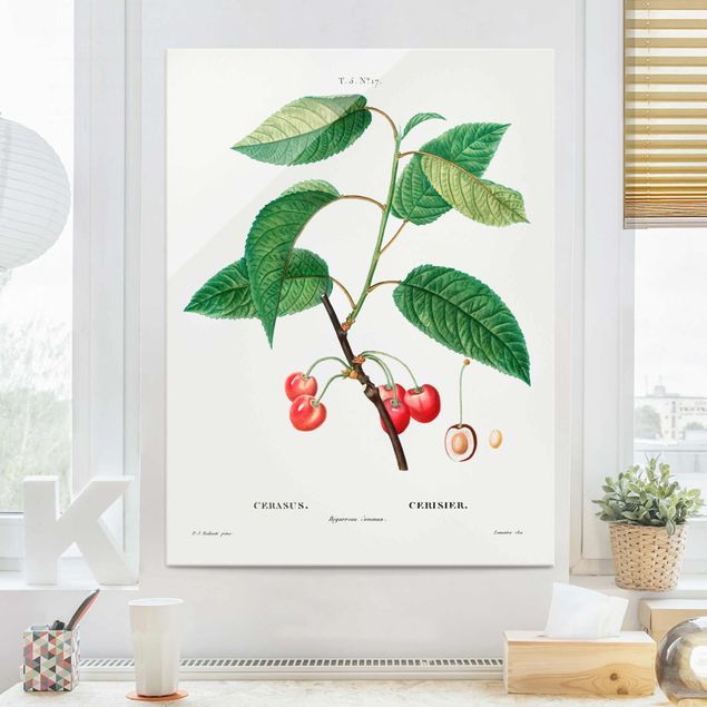 Kök dekoration Botany Vintage Illustration Red Cherries