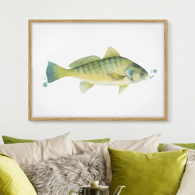 Tavlor fisk Color Catch - Perch