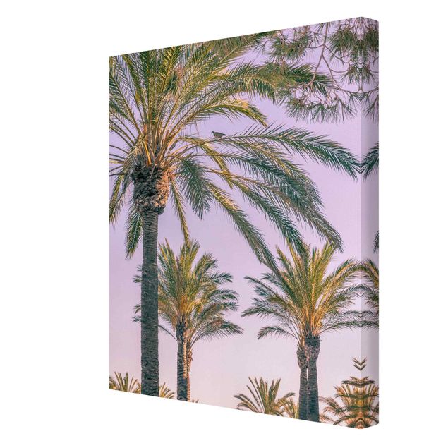 Tavlor blommor  Palm Trees At Sunset
