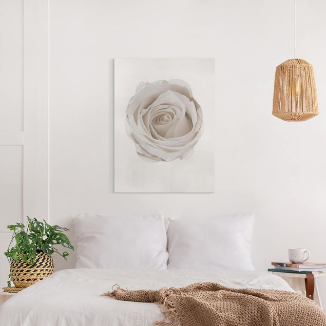 Canvastavlor blommor  WaterColours - Pretty White Rose
