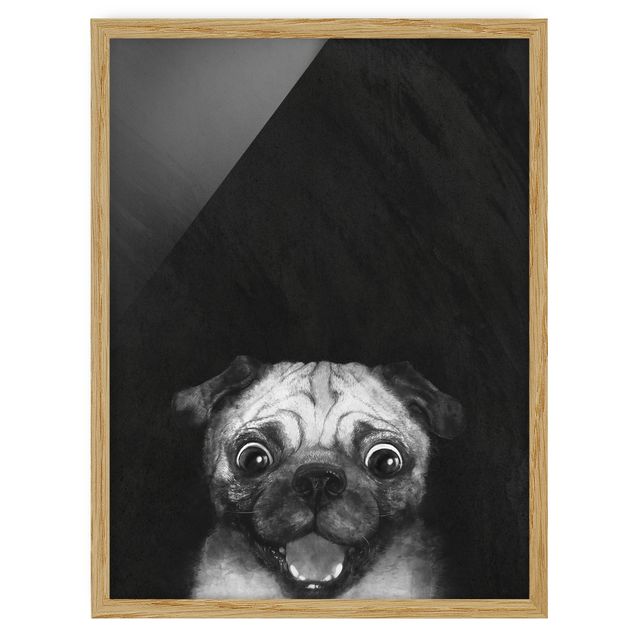 Tavlor med ram djur Illustration Dog Pug Painting On Black And White