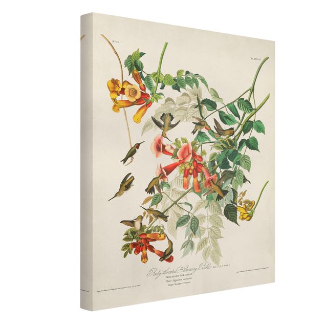 Tavlor blommor Vintage Board Hummingbirds