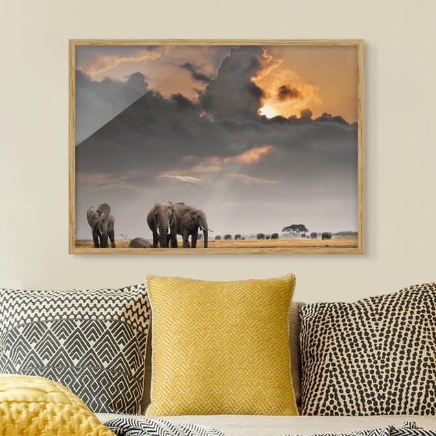 Kök dekoration Elephants in the Savannah