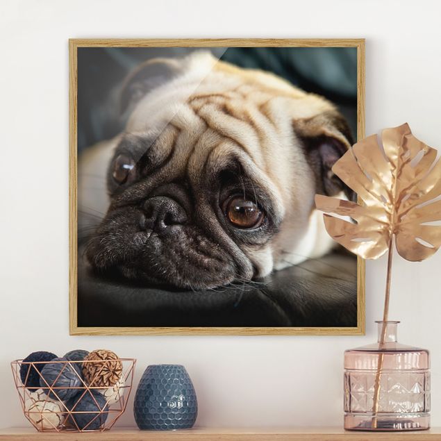 Kök dekoration Pensive Pug