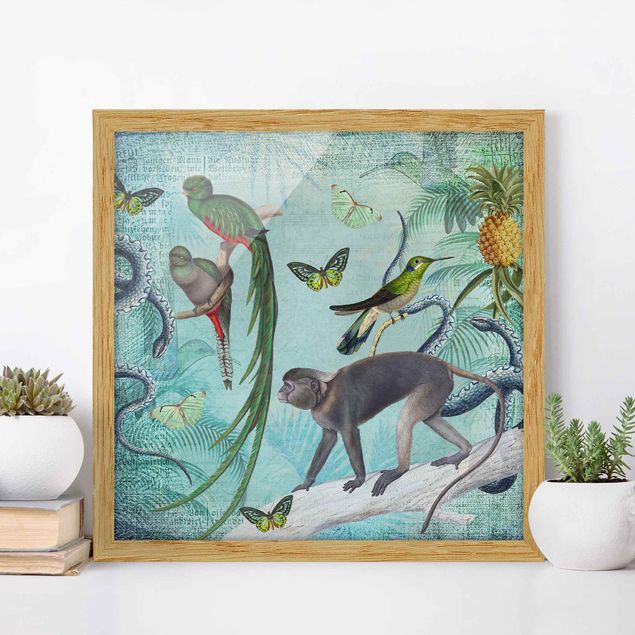 Tavlor apor Colonial Style Collage - Monkeys And Birds Of Paradise