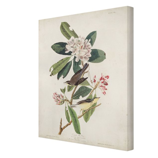 Tavlor blommor  Vintage Board Warbler