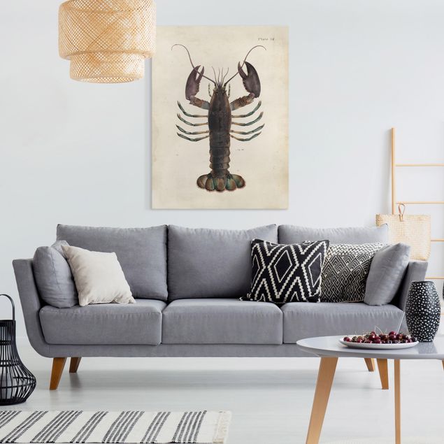 Canvastavlor djur Vintage Illustration Lobster