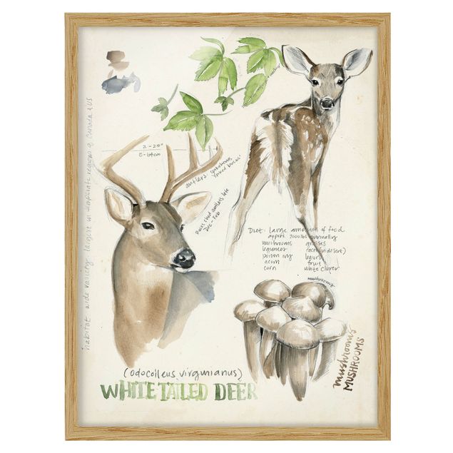 Tavlor blommor Wilderness Journal - Deer
