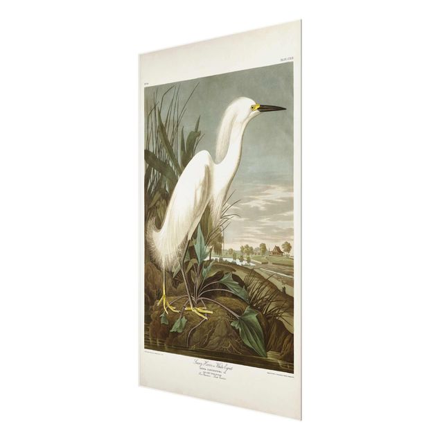 Glastavlor stränder Vintage Board White Heron I