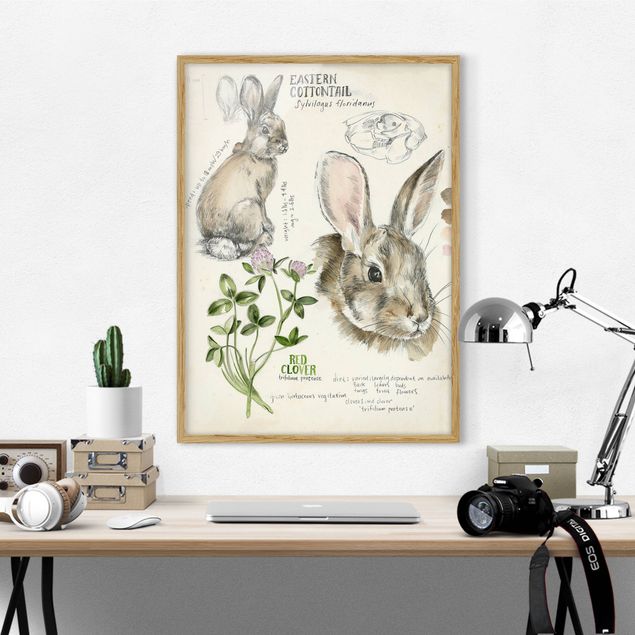 Tavlor med ram blommor  Wilderness Journal - Rabbit