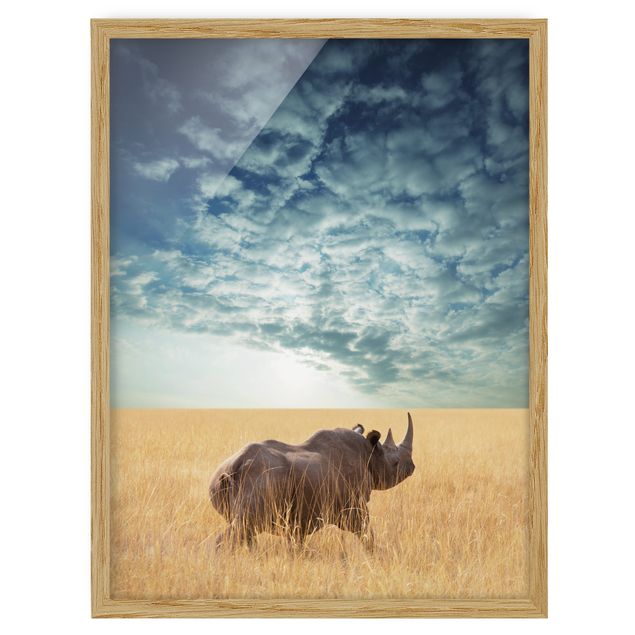 Tavlor med ram djur Rhino In The Savannah