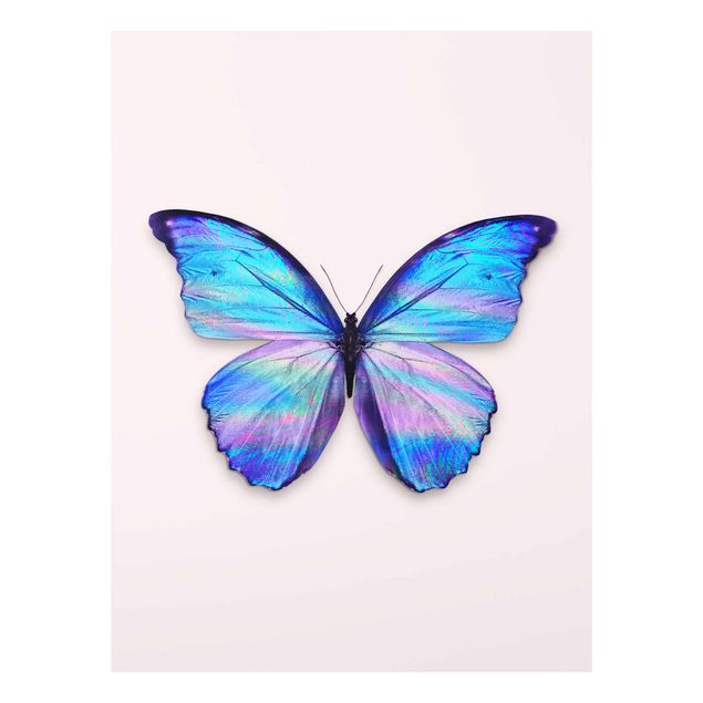 Glastavlor djur Holographic Butterfly