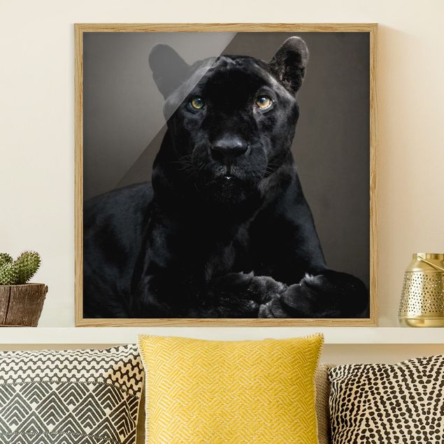 Kök dekoration Black Puma