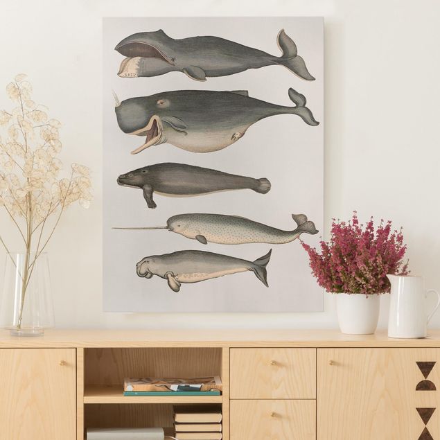 Canvastavlor fisk Five Vintage Whales
