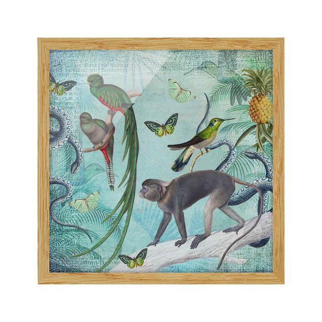 Tavlor blommor Colonial Style Collage - Monkeys And Birds Of Paradise