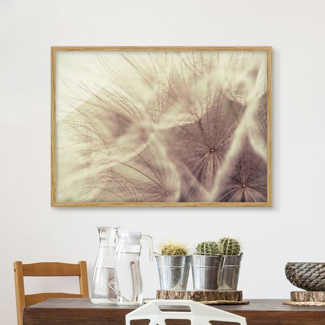 Kök dekoration Detailed Dandelion Macro Shot With Vintage Blur Effect