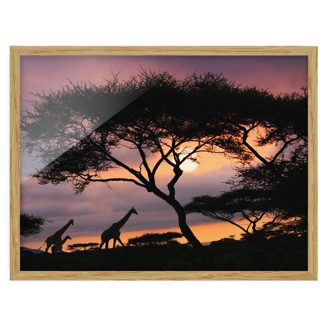 Tavlor med ram landskap African Safari