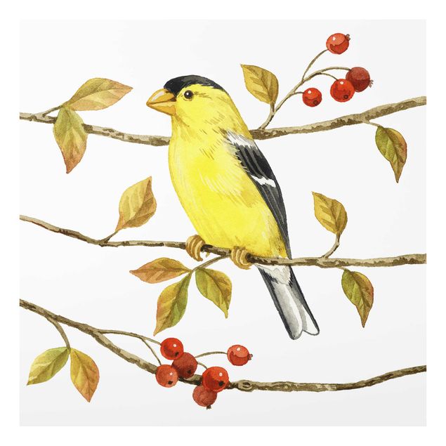 Tavlor Birds And Berries - American Goldfinch