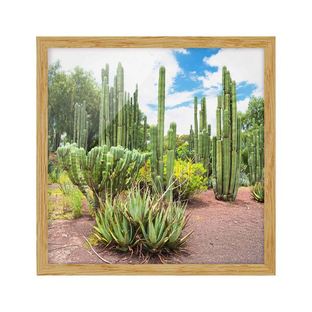 Tavlor med ram blommor  Cactus Landscape