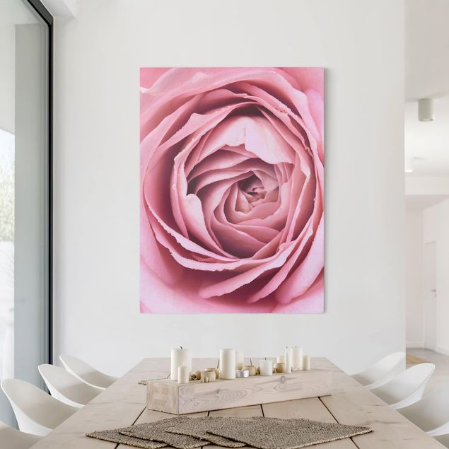 Canvastavlor rosor Pink Rose Blossom