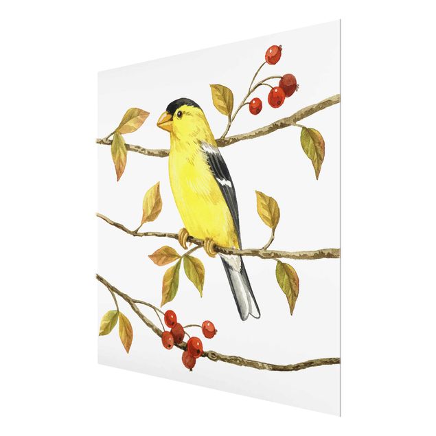 Glas Magnettavla Birds And Berries - American Goldfinch