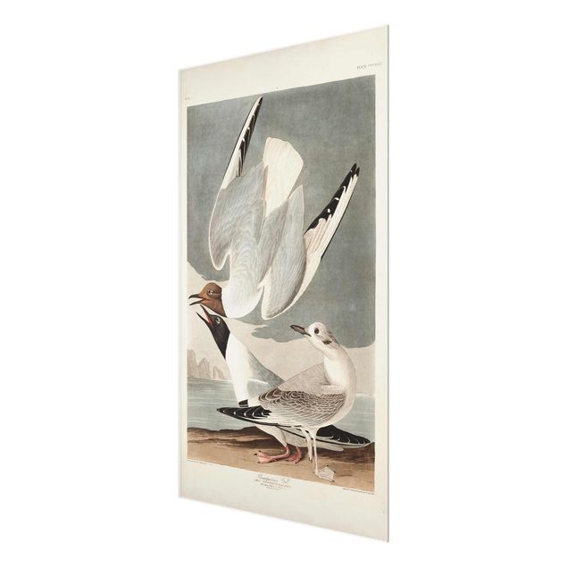 Glastavlor stränder Vintage Board Bonaparte Gull