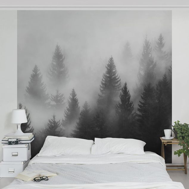 Fototapeter landskap Coniferous Forest In The Fog Black And White