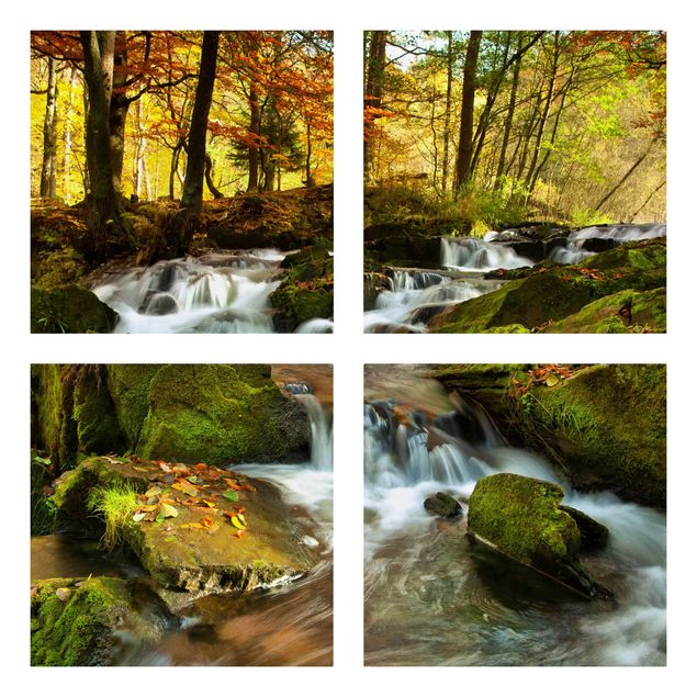 Canvastavlor sten utseende Waterfall Autumnal Forest
