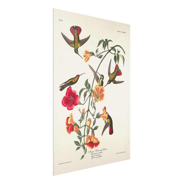 Tavlor blommor  Vintage Board Mango Hummingbirds
