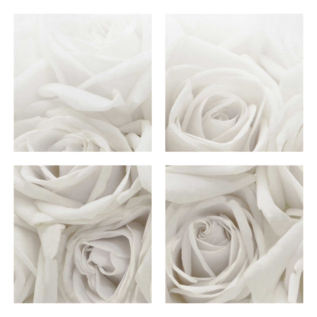 Tavlor bergen White Roses
