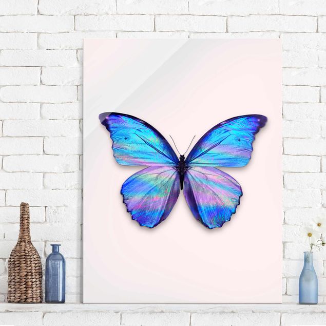 Tavlor Holographic Butterfly