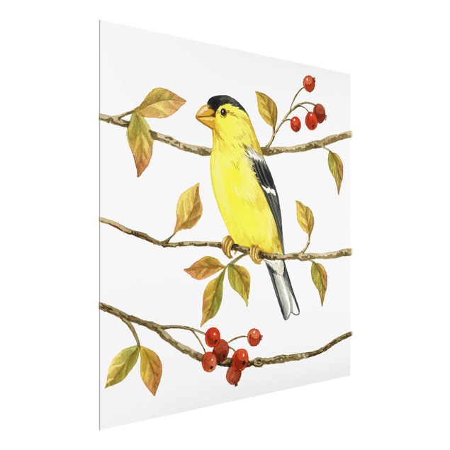 Tavlor retro Birds And Berries - American Goldfinch