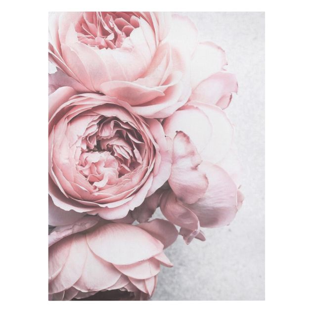 Tavlor blommor  Light Pink Peony Flowers Shabby Pastel