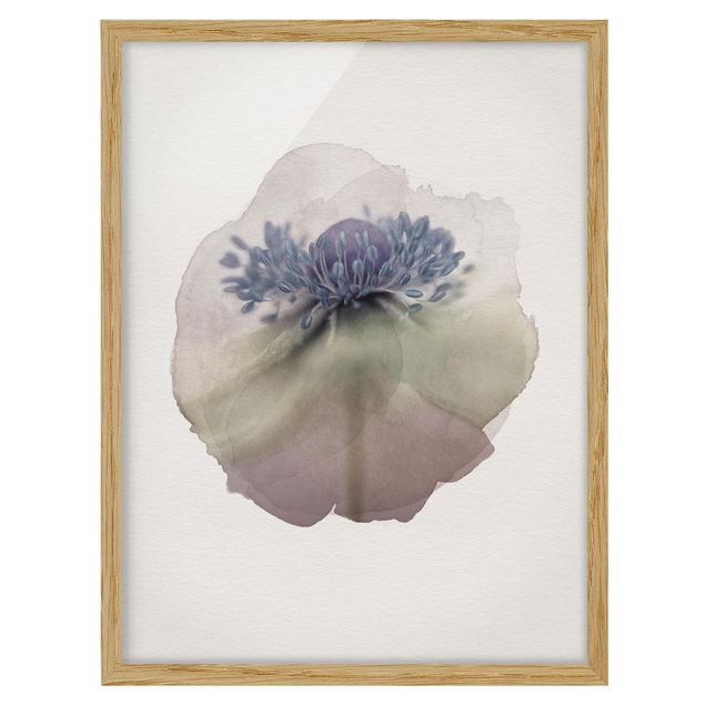 Tavlor blommor  WaterColours - Anemone In Violet