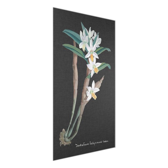 Glastavlor blommor  White Orchid On Linen I