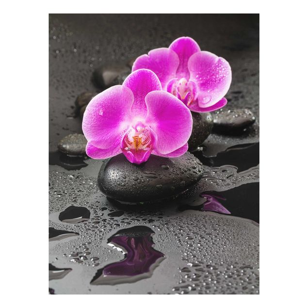 Tavlor blommor Pink Orchid Flower On Stones With Drops
