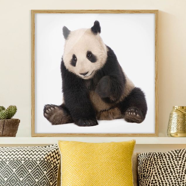 Inredning av barnrum Panda Paws